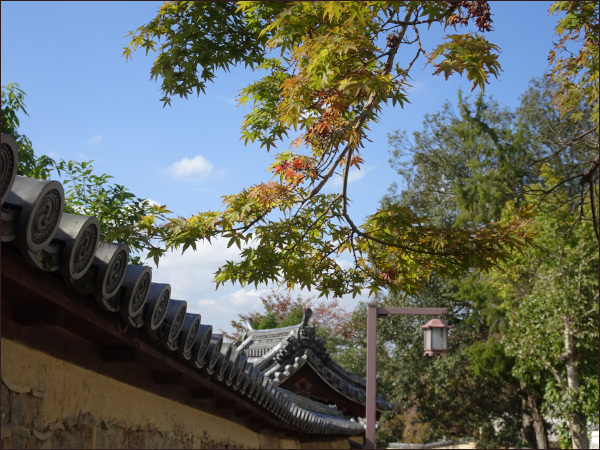 お寺にかかる枝、わずかに紅葉
